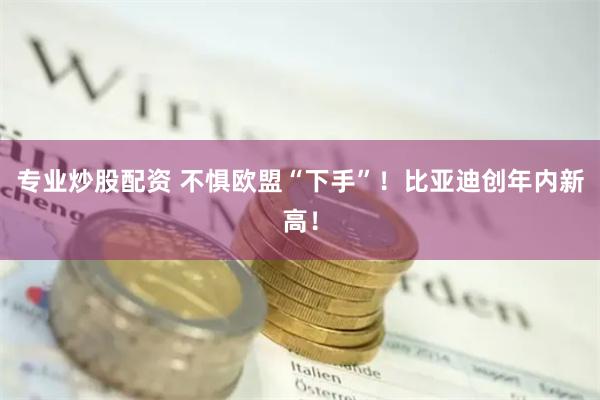 专业炒股配资 不惧欧盟“下手”！比亚迪创年内新高！