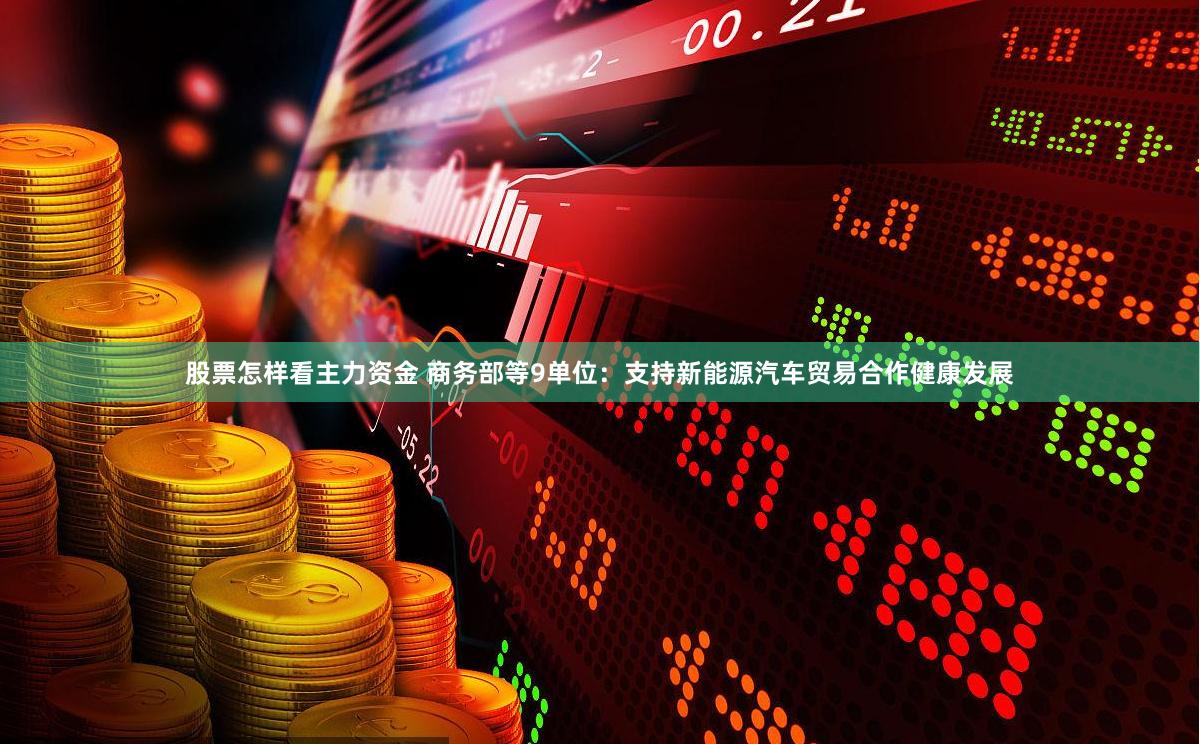 股票怎样看主力资金 商务部等9单位：支持新能源汽车贸易合作健康发展